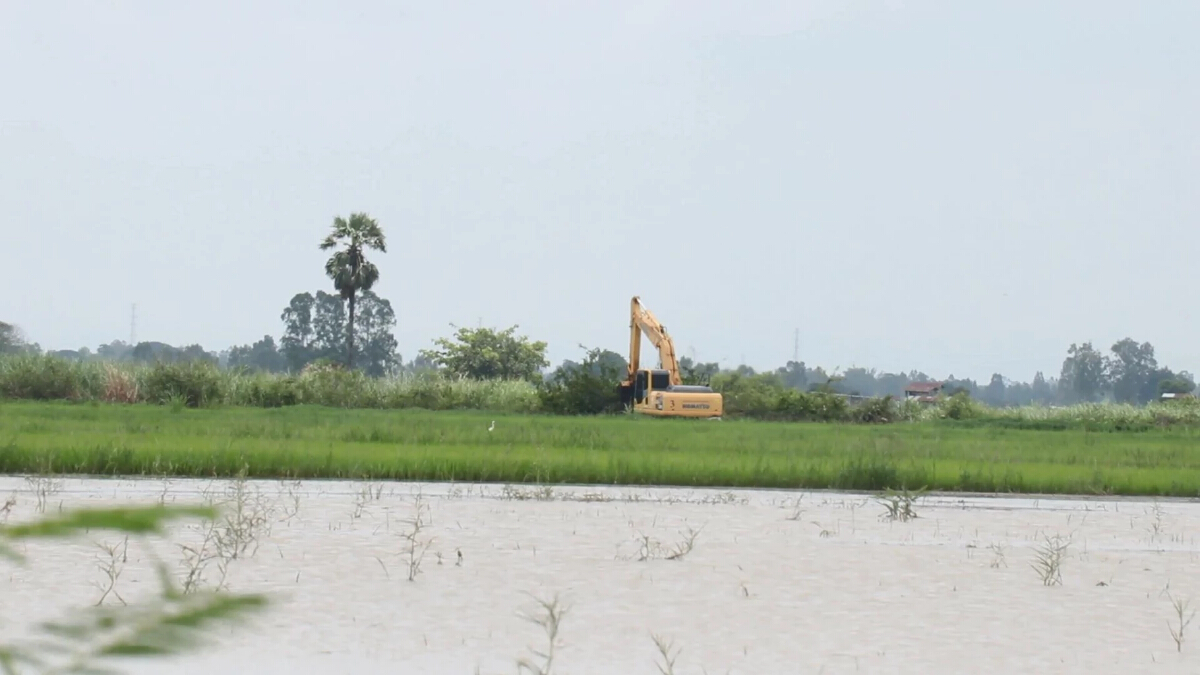 น้ำฝนสะสมท่วมนาข้าวชาวพิจิตร กว่า 500 ไร่