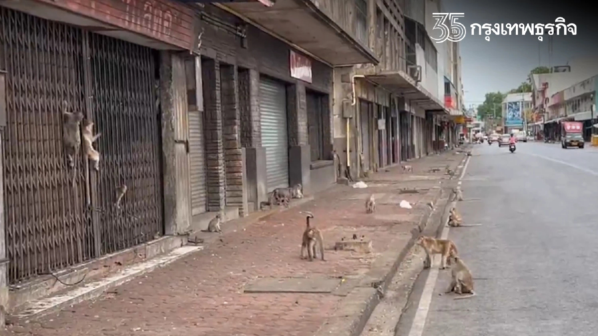 "ฝีดาษลิง" ระบาดต่างประเทศ เปิดใจชาวบ้านอยู่ใกล้ชิดลิง คิดเห็นอย่างไรบ้าง