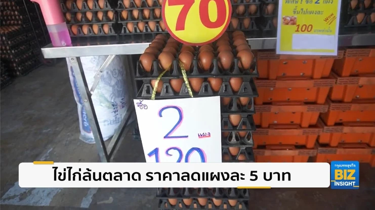 ไข่ไก่ล้นตลาด เบอร์1 - 3 ราคาลดแผงละ 5 บาท​