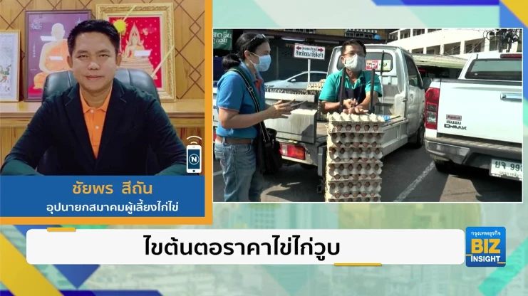 ไขต้นตอราคาไข่ไก่วูบ ฟังมุมมองอุปนายกสมาคมผู้เลี้ยงไก่ไข่