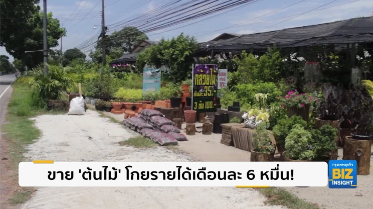 ขาย ‘ต้นไม้’ โกยรายได้เดือนละ 6 หมื่นบาท!