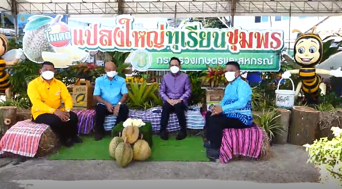 เปิดฤดูกาลทุเรียนชุมพร ดันยุทธศาสตร์เกษตรทันสมัย