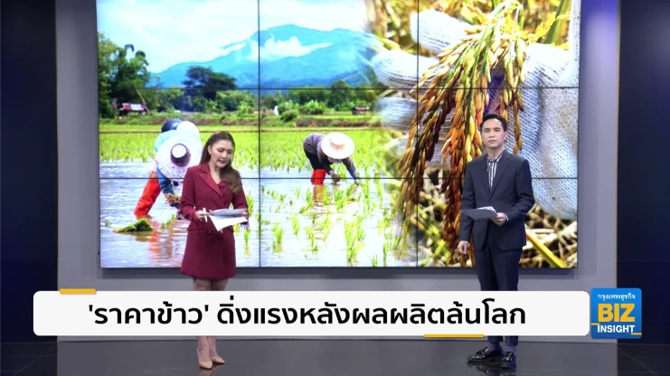 'ราคาข้าว' ดิ่งแรงหลังผลผลิตล้นโลก!!