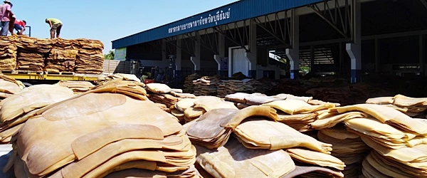 ราคายางพารา (การยางแห่งประเทศไทย) ประจำวันที่ 13 มิถุนายน 2565