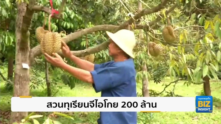 สวนทุเรียนจีไอโกย 200 ล้าน นักท่องเที่ยวทะลุ 3 แสนคน