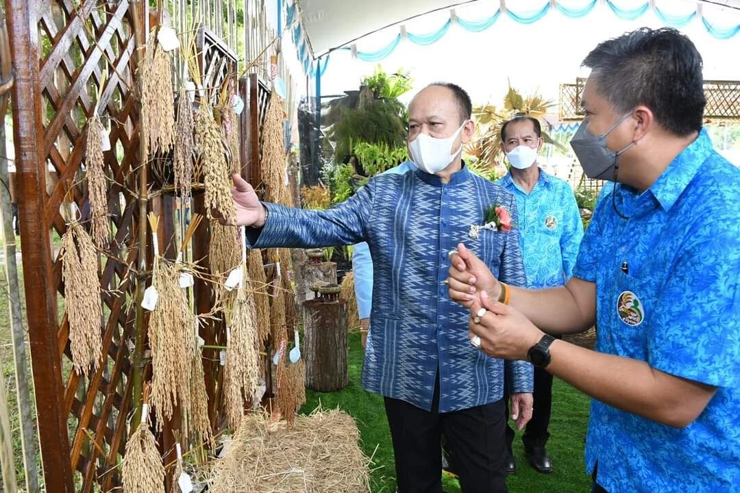 จัดยิ่งใหญ่! งานข้าวและชาวนาฯ ชูเทคโนโลยีเกษตรอัจฉริยะ ช่วยลดต้นทุน