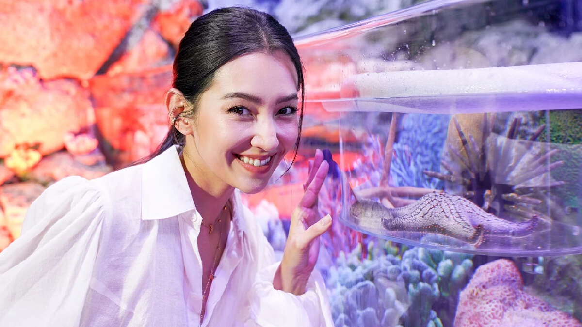 Sea Life ร่วมรักษ์สิ่งแวดล้อม เปิดโซนใหม่ “แอ่งหินเรียนรู้” พร้อมสนุกกับ AR