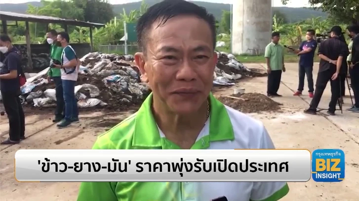 ‘ข้าว-ยาง-มัน’ ราคาพุ่งรับเปิดประเทศ