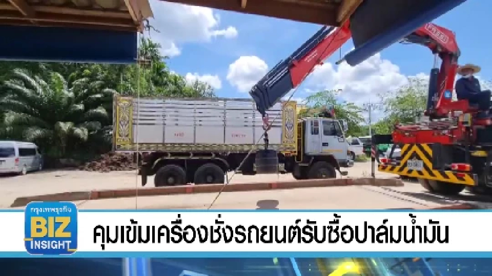 คุมเข้มเครื่องชั่งรถยนต์รับซื้อปาล์มน้ำมัน