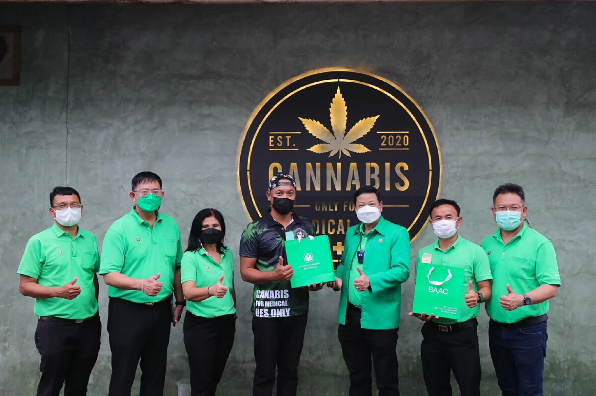 ธ.ก.ส. เติมทุน 5 พันล้านบาท ชูบุรีรัมย์โมเดลหนุนผลิตกัญชาเพื่อการแพทย์