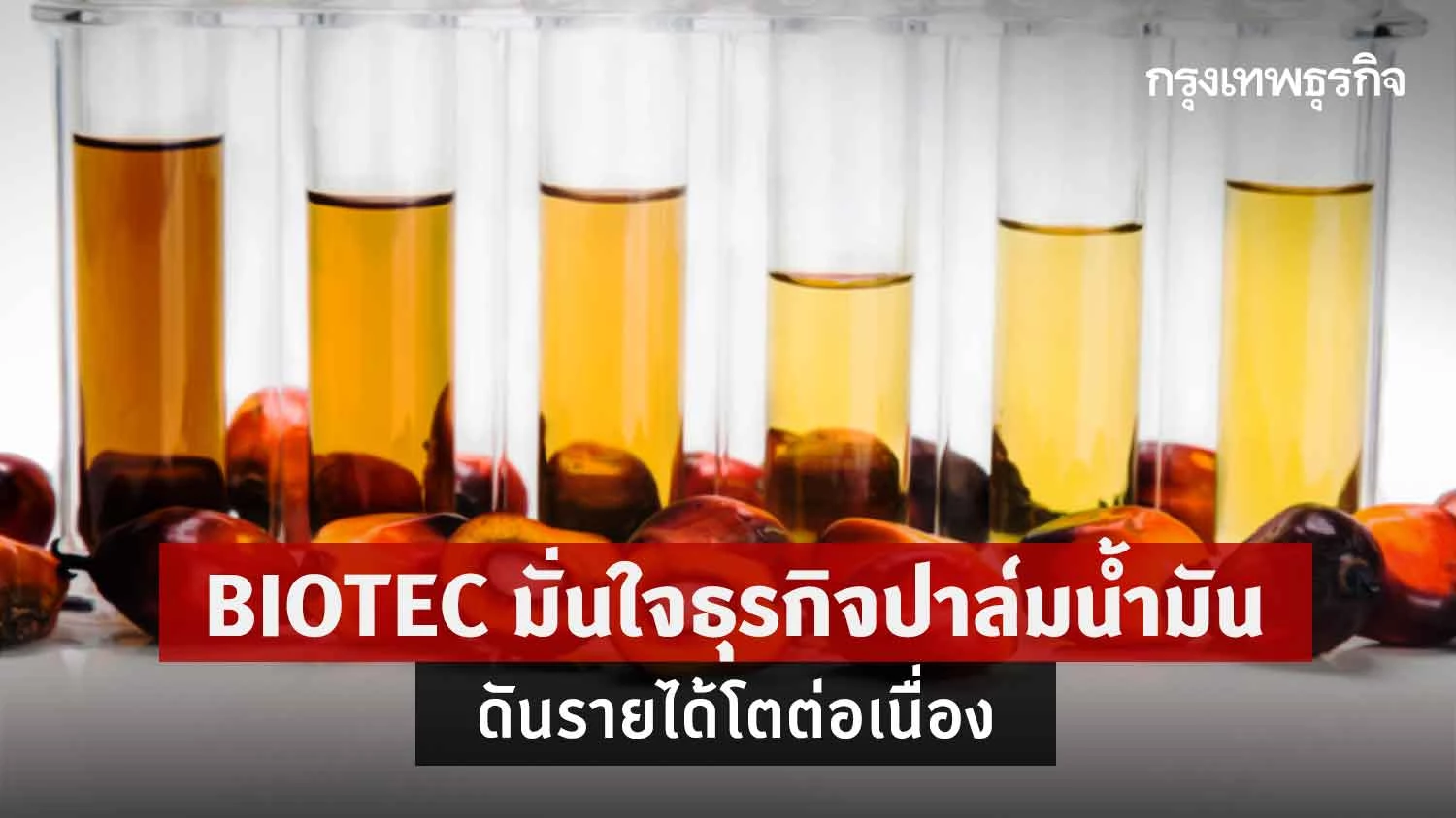 BIOTEC มั่นใจธุรกิจปาล์มน้ำมัน ดันรายได้โตต่อเนื่อง