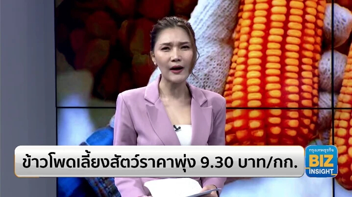 ข้าวโพดเลี้ยงสัตว์ราคาพุ่ง 9.30 บาท/กก.