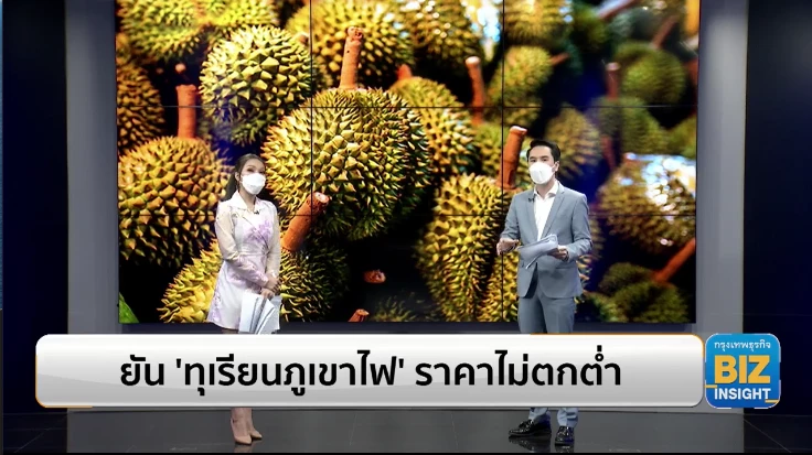 พาณิชย์ยัน 'ทุเรียนภูเขาไฟ' ราคาไม่ตกต่ำ