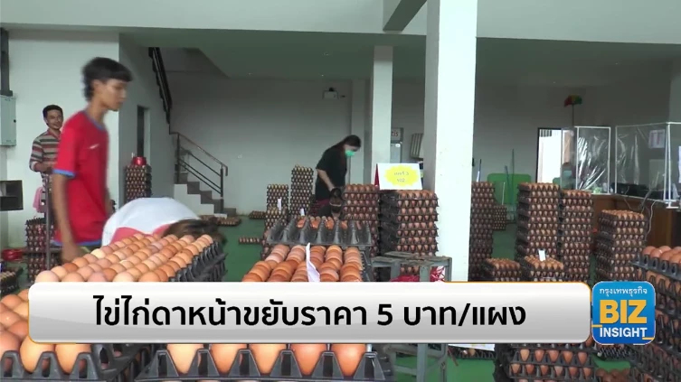 ไข่ไก่ดาหน้าขยับราคา 5 บาท/แผง ทุกขนาด