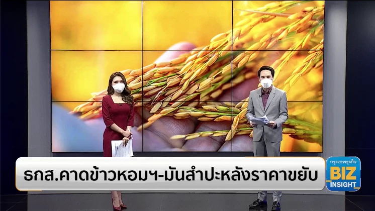 ธ.ก.ส.คาดข้าวหอมฯ-มันสำปะหลังราคาขยับ