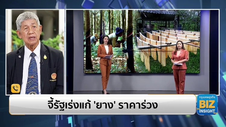 จี้รัฐเร่งแก้ ‘ยาง’ ราคาร่วง ฟังมุมมองนายกสมาคมสหพันธ์ชาวสวนยาง