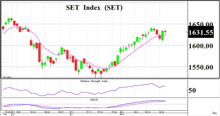 Selective ฺBuy (25 สิงหาคม 2565)