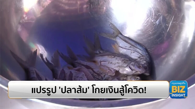 แปรรูป ‘ปลาส้ม’ โกยเงินสู้โควิด! สร้างรายได้ยั่งยืน