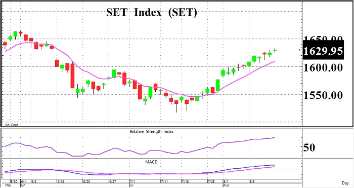 Selective ฺBuy  (วันที่ 17 สิงหาคม 2565)