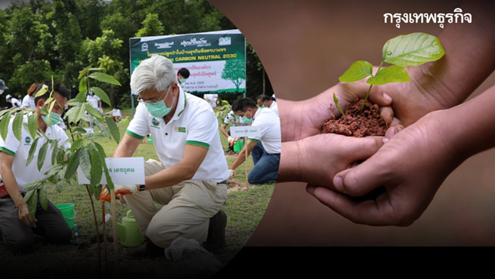 "ปลูกป่าในบ้าน" โครงการกรีนๆ ที่ทำให้ทุกที่มีต้นไม้ยืนต้น
