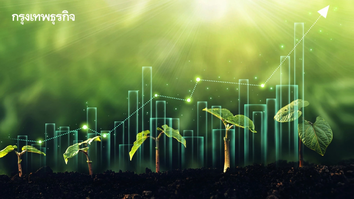 แอสเซทไวส์ กับไอเดีย "Grow Green" คุณภาพชีวิตกับสิ่งแวดล้อม