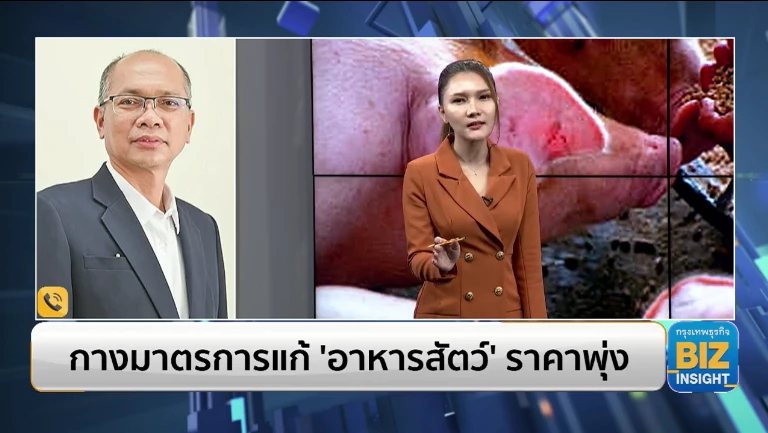 กางมาตรการแก้ ‘อาหารสัตว์’ ราคาพุ่ง!!