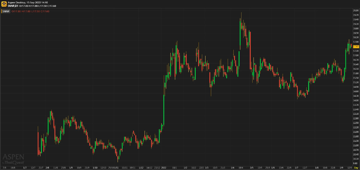 SNNP - ดี แต่เหลือ Upside จำกัด (15 ก.ย. 2565)