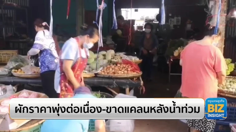 ผักราคาพุ่งต่อเนื่อง - ขาดแคลนหลังน้ำท่วม