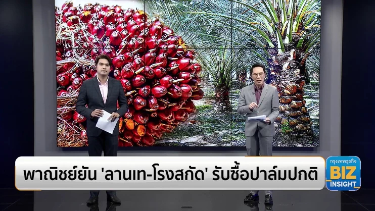 พาณิชย์ยัน ‘ลานเท-โรงสกัด’ รับซื้อปาล์มปกติ