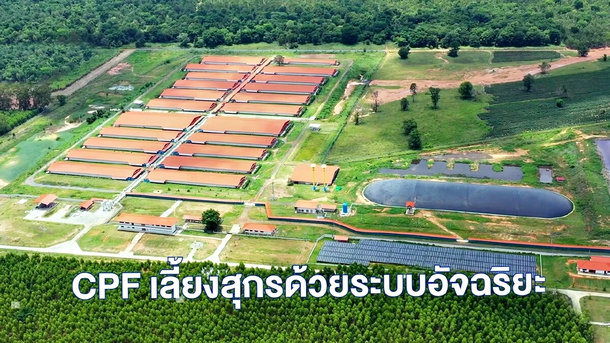 ซีพีเอฟ ดันเกษตรกรคอนแทรคฟาร์มมิ่ง ใช้เทคโนโลยี มุ่งสู่ฟาร์มอัจฉริยะ