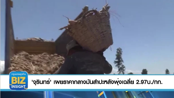 'จุรินทร์' เผยราคากลางมันสำปะหลังพุ่งเฉลี่ย 2.97บ./กก.