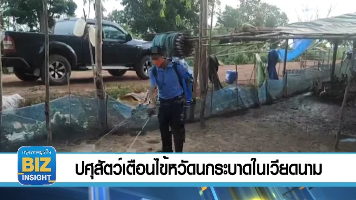 ปศุสัตว์เตือนไข้หวัดนกระบาดในเวียดนาม
