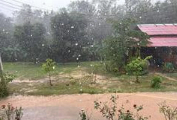 "พายุลูกเห็บ" ฝนตกลมกระโชกแรง เร่งสำรวจความเสียหาย