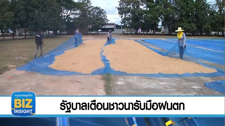 รัฐบาลเตือน​ชาวนารับมือฝนตก​ ที่ขณะนี้อยู่ในช่วงเก็บเกี่ยว