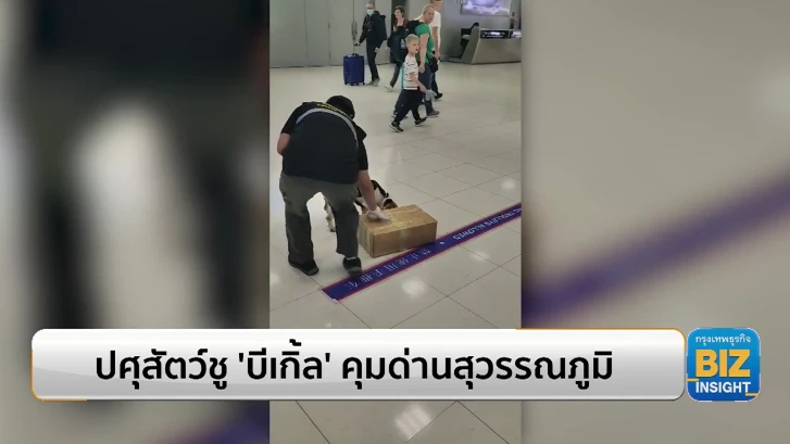 ปศุสัตว์ชู ‘บีเกิ้ล’ คุมด่านสุวรรณภูมิ