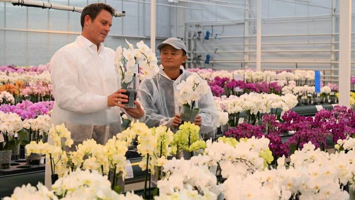 ‘แจ็ค หม่า’ หลบไปอยู่โตเกียวเกือบ 6 เดือน