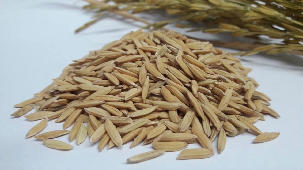 'พาณิชย์-เกษตร'รุกตรวจ DNA หนุนไทยทวงตลาดข้าวคุณภาพ