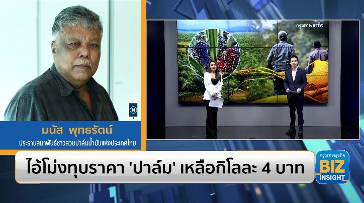 ไอ้โม่งทุบราคา ‘ปาล์ม’ เหลือกิโลละ 4 บาท