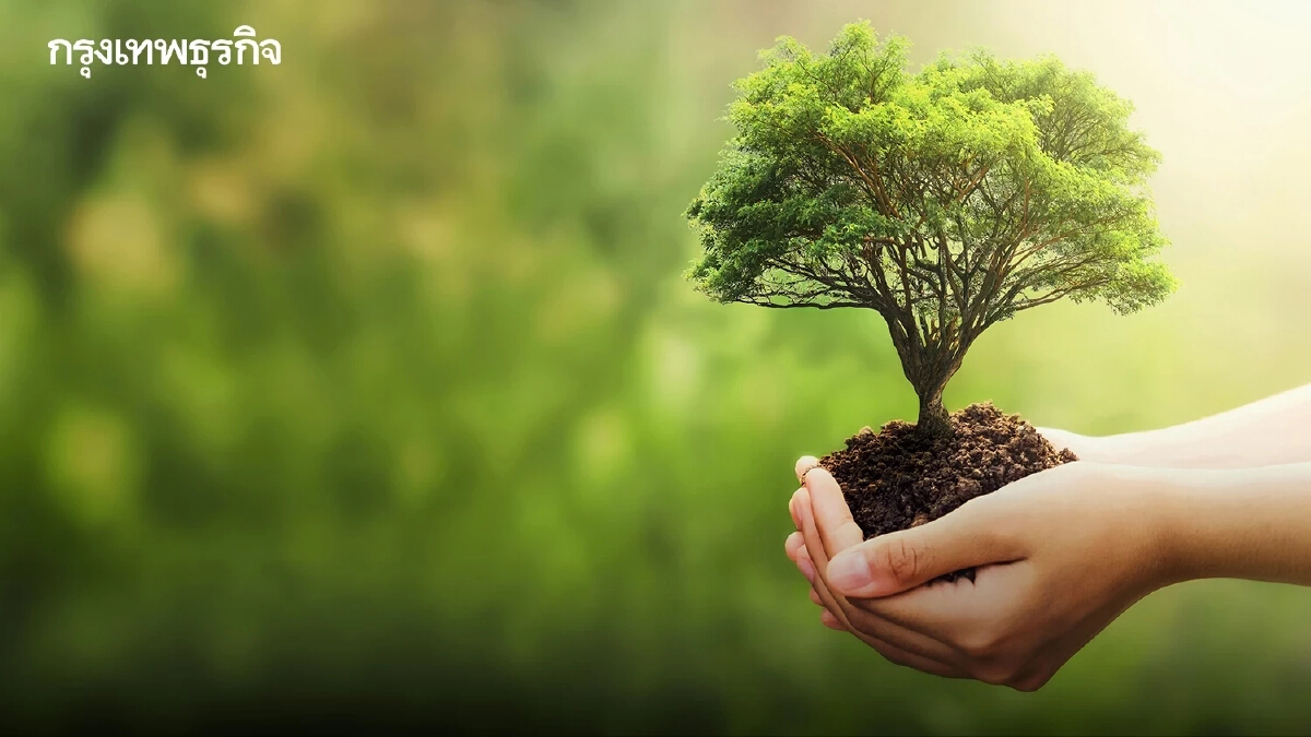 5 ธันวาคม 2565 วันพ่อแห่งชาติ และเป็นวันสำคัญ คือ "วันดินโลก" World Soil Day