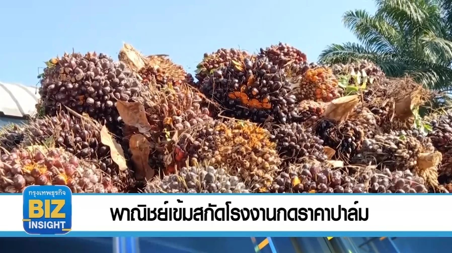 พาณิชย์เข้มสกัดโรงงานกดราคาปาล์ม!
