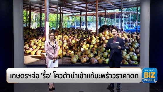 เกษตรฯจ่อ ‘รื้อ’ โควต้านำเข้าแก้มะพร้าวราคาตก