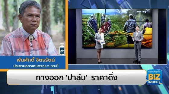 ทางออก ‘ปาล์ม’ ราคาดิ่ง ฟังมุมมอง พันศักดิ์ จิตรรัตน์