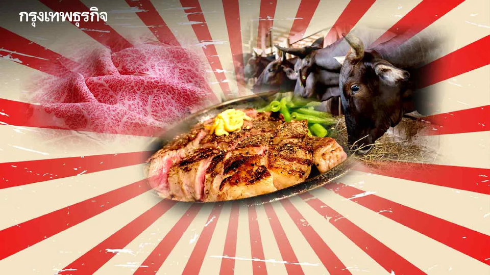 ญี่ปุ่นเพิ่มโควต้าส่งออกเนื้อพรีเมียม หนุน'มัตสึซากะ'ตีตลาดโลก