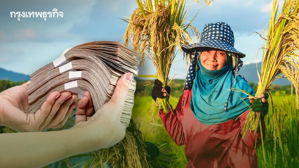 เกษตรกร 68/69 เช็กไร่ละ 500 ค่าปัจจัยไร่ละ 500 ค่าปรับพื้นที่ไร่ละ 1500