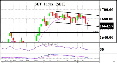 โฟกัสรายตัว - 13 กุมภาพันธ์ 2566