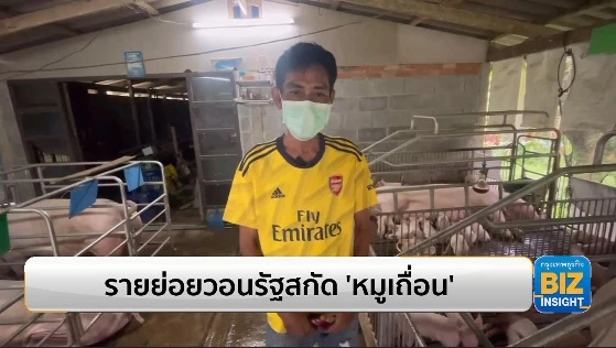 รายย่อยวอนรัฐสกัด ‘หมูเถื่อน’ หวั่นทำลายอาชีพเกษตรกร