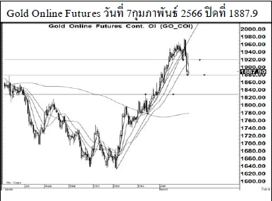 Daily Gold Futures (วันที่ 8 กุมภาพันธ์ 2566)
