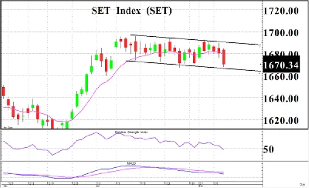สาละวันเตี้ยลง - 9 กุมภาพันธ์ 2566