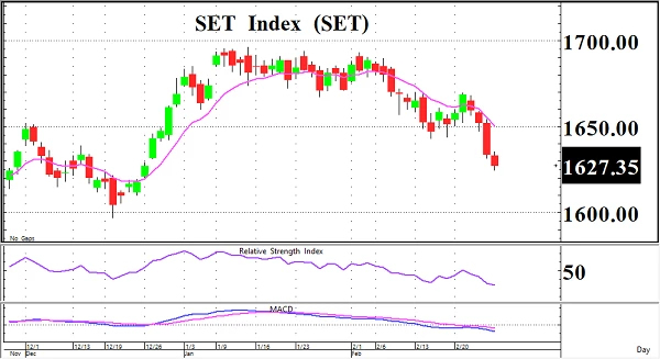 Selective ฺBuy - 28 กุมภาพันธ์ 2566