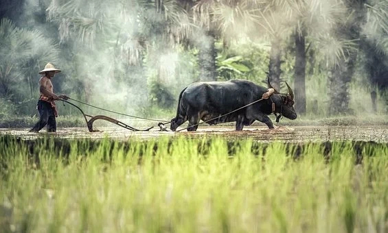 รายงานราคาข้าวขายส่งตลาดกรุงเทพฯ (สมาคมโรงสีข้าวไทย) 27 กุมภาพันธ์ 2566